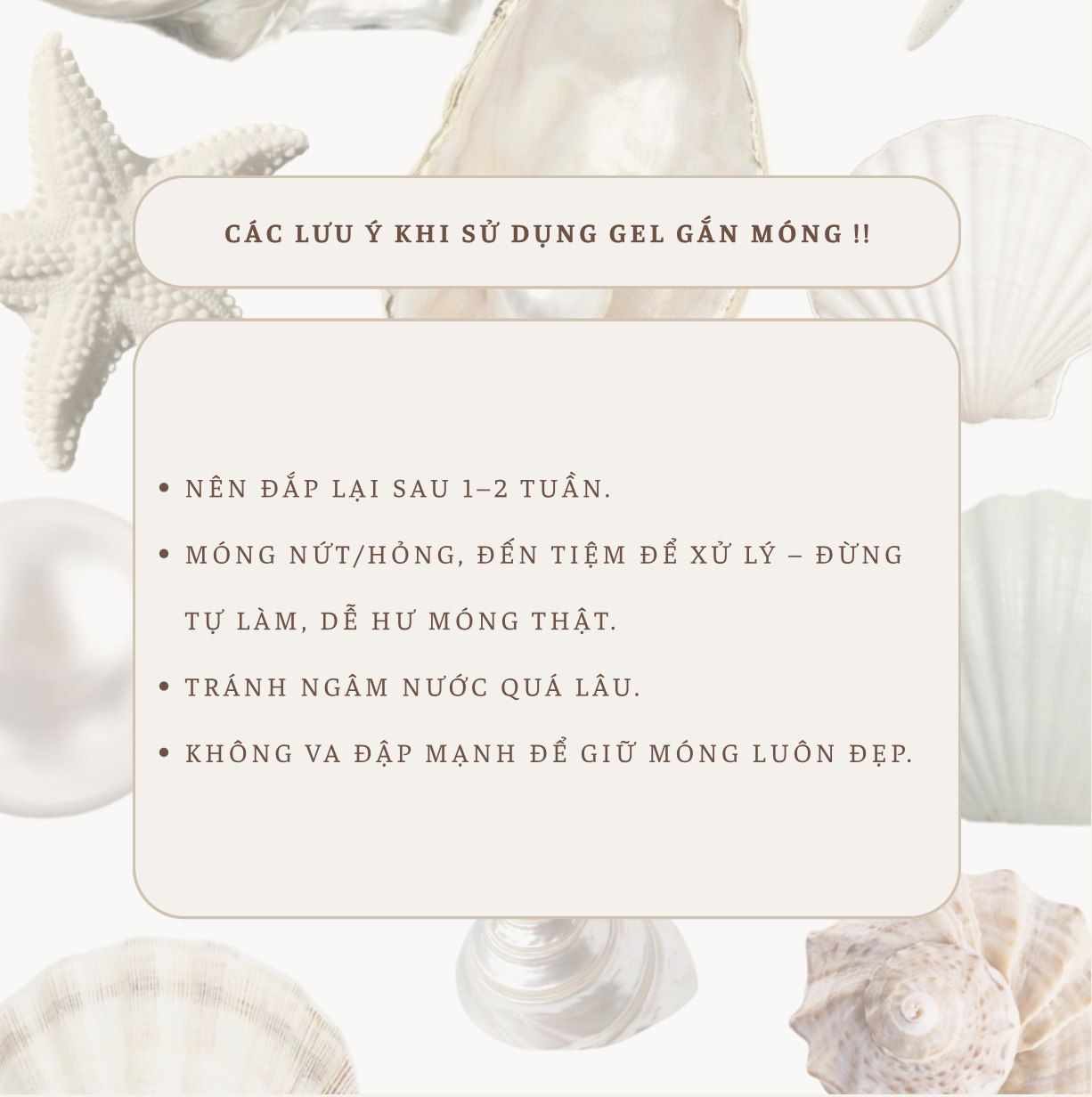 Screenshot 2025-06-01 at 03.22.30 Hướng dẫn